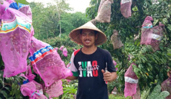 Pemilik Kebun Lengkeng di Bulukumba, Akbar Abadi. (ist)