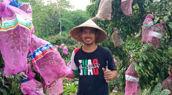 Pemilik Kebun Lengkeng di Bulukumba, Akbar Abadi. (ist)
